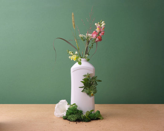 A plastic bottle with plants growing, an metaphoric example of eco-friendly vs sustainable