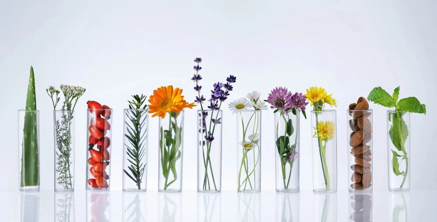 Plants used in carrier oils and essential oils in test tubes