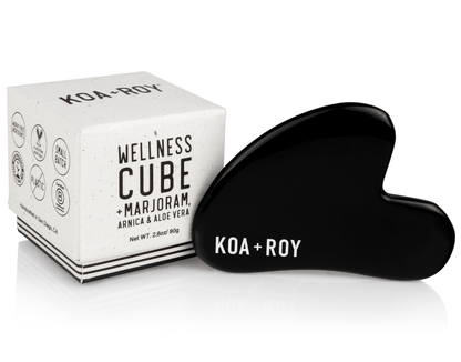 Wellness Cube + Gua Sha