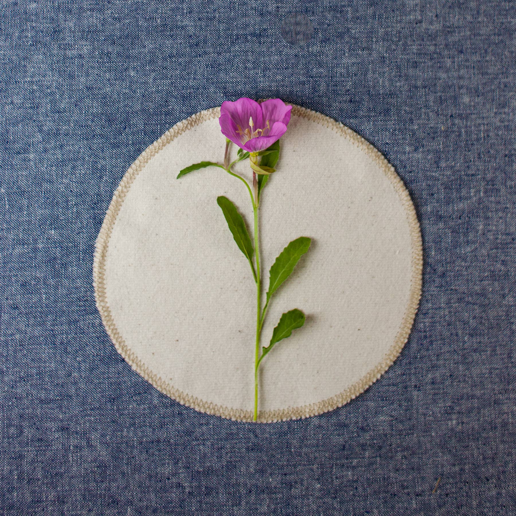 Single round face cloth with a wildflower on top on a blue cloth background