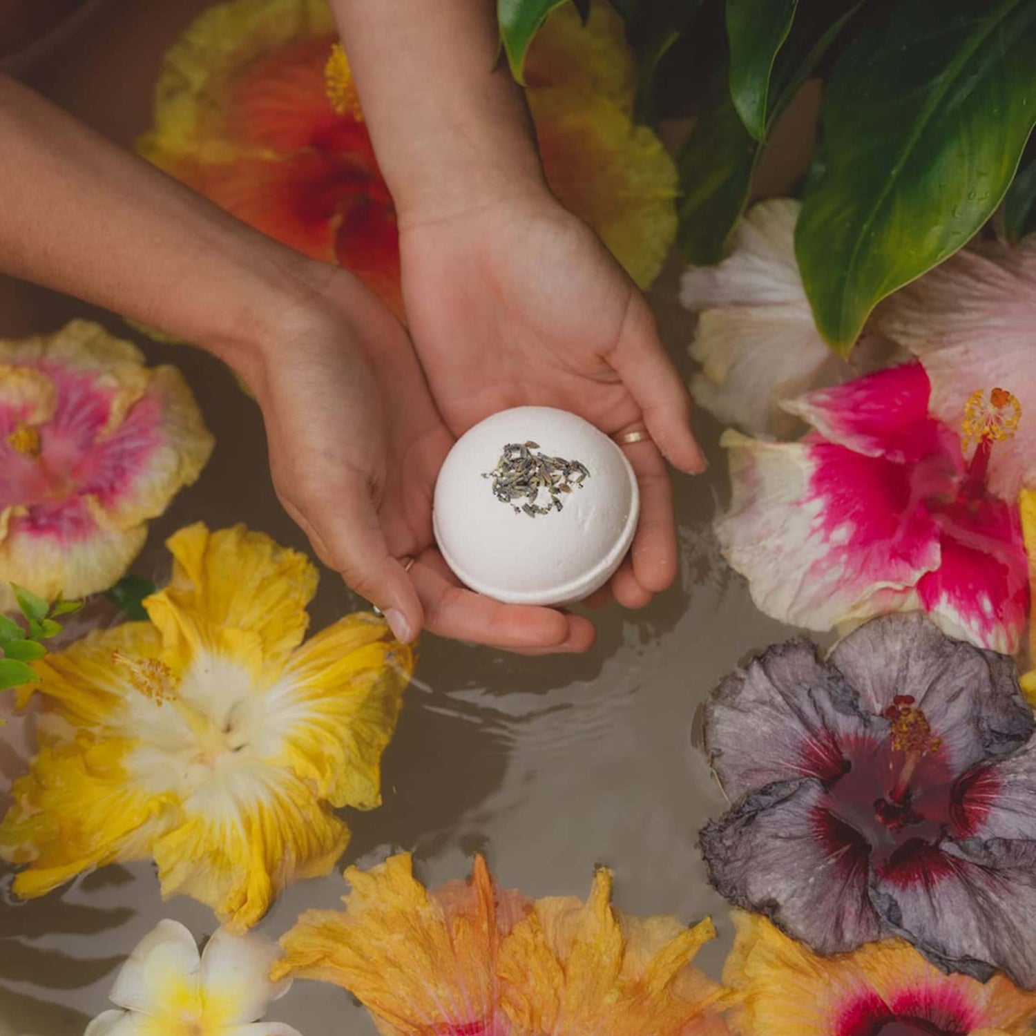 Two hands holding the bath bomb over a pool with colorful hibiscus flowers