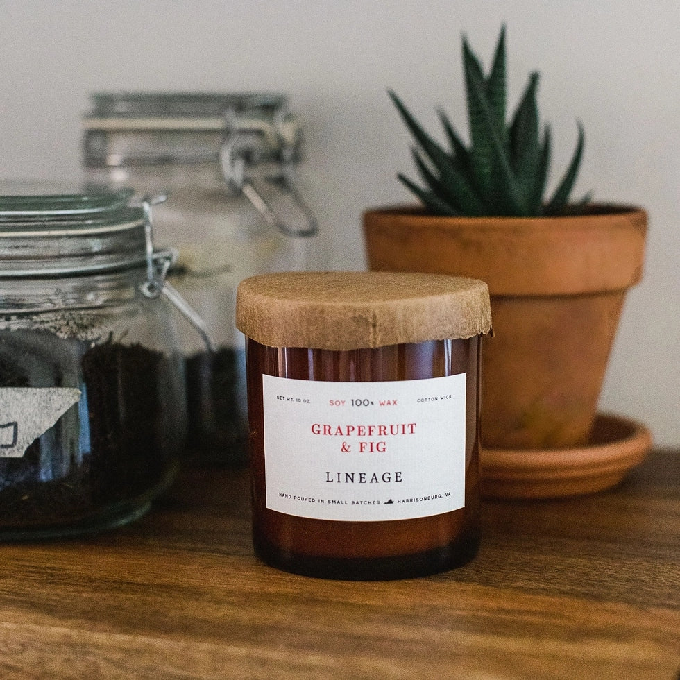 The Grapefruit and Fig candle with wax paper top on a counter with a succulent and jars
