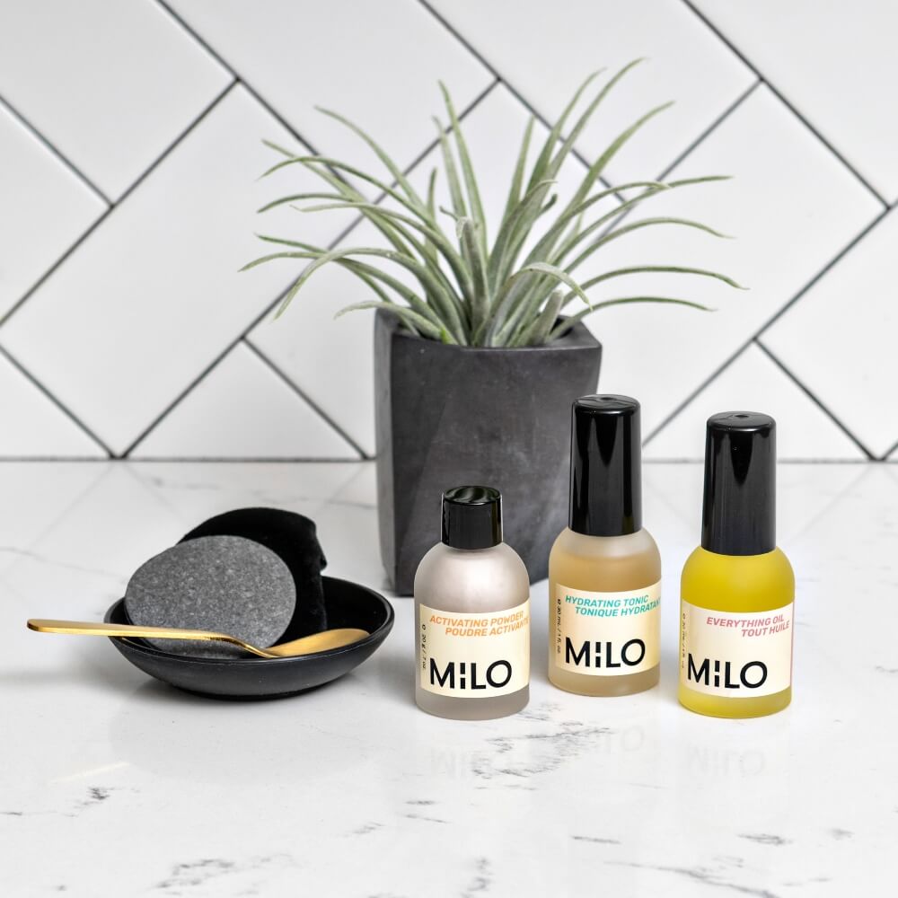 The trio of MILO products on counter with plant