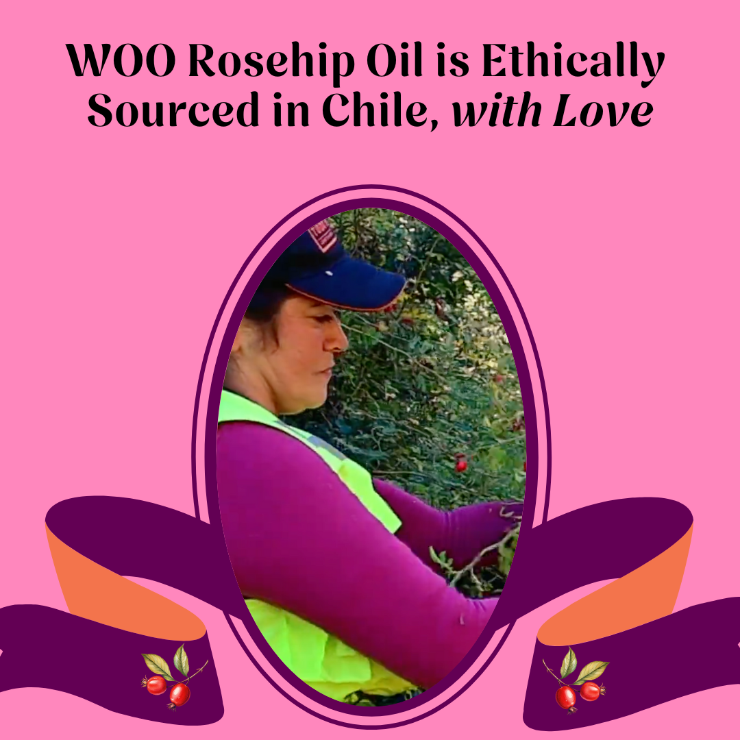 Photo of a woman harvesting rosehips with a pink background and text about WOO Rosehip Oil.
