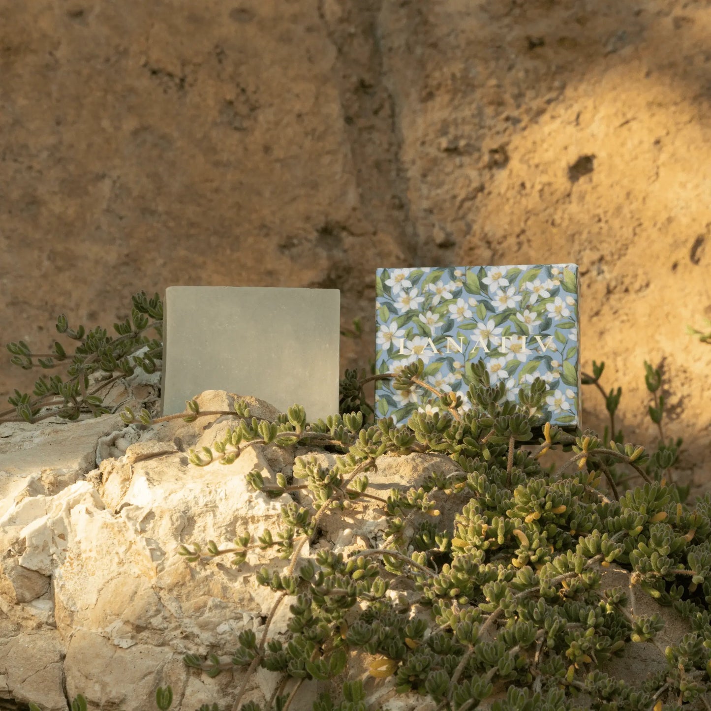 The soap box and bar from Lanativ Hawaiian Sandalwood & Juniper soap on a sandy ledge
