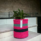 Woven jute basket with succulent on concrete counter